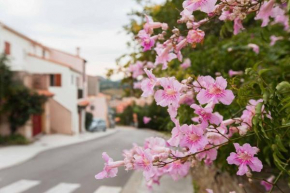 Regina's Banyuls - Les Hibiscus